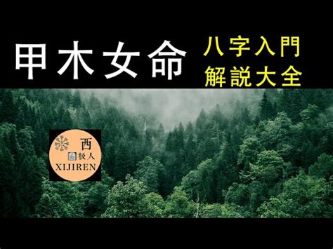 甲申納音|【甲申納音】深入解析甲申年納音：瞭解「泉中水」命格的奧秘